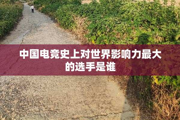 中国电竞史上对世界影响力最大的选手是谁
