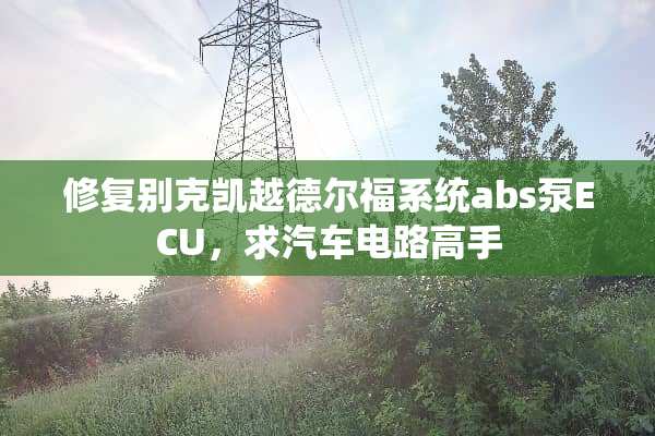 修复别克凯越德尔福系统abs泵ECU，求汽车电路高手