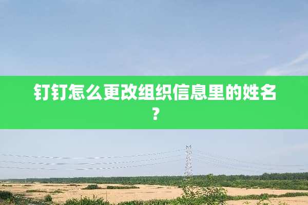 钉钉怎么更改组织信息里的姓名？