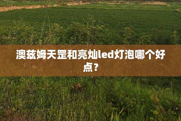 澳兹姆天罡和亮灿led灯泡哪个好点？