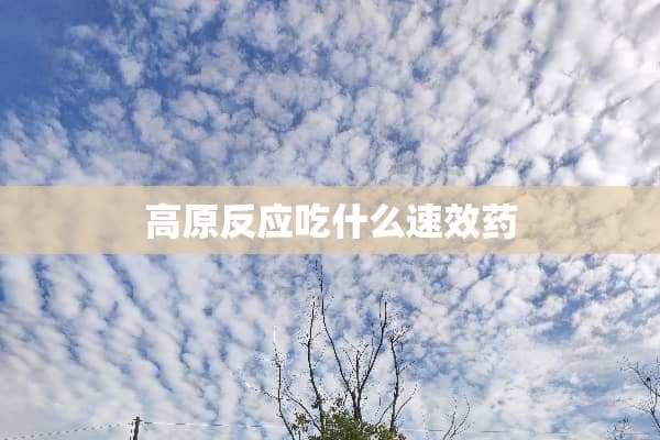 高原反应吃什么速效药