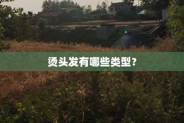 烫头发有哪些类型？