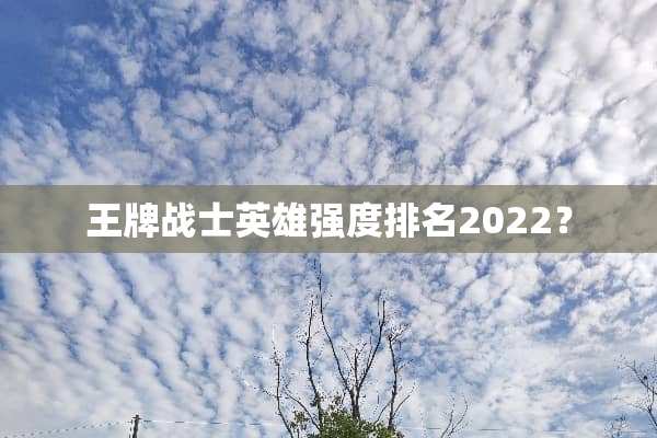 王牌战士英雄强度排名2022？