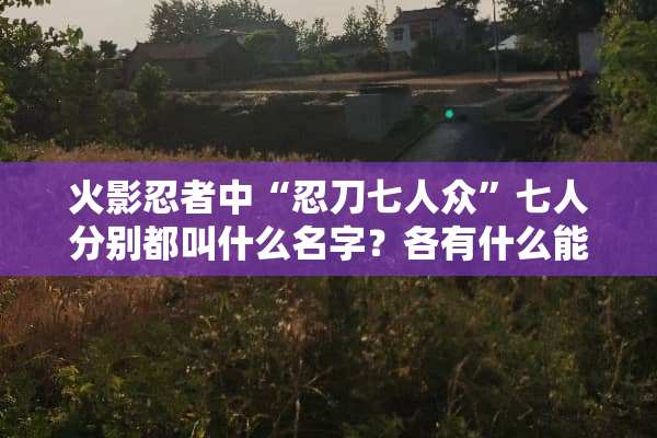火影忍者中“忍刀七人众”七人分别都叫什么名字？各有什么能力？