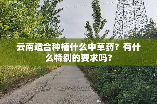 云南适合种植什么中草药？有什么特别的要求吗？