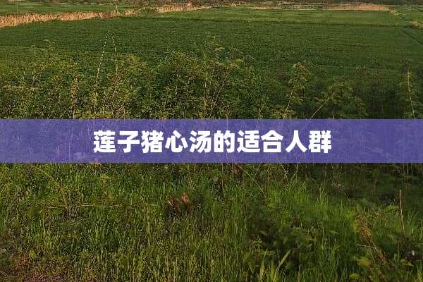 莲子猪心汤的适合人群