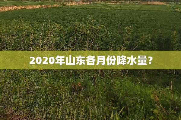 2020年山东各月份降水量？