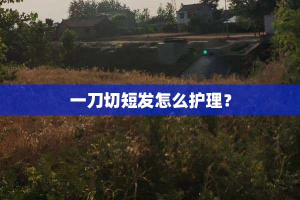 一刀切短发怎么护理？