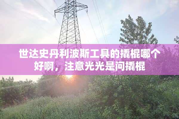世达史丹利波斯工具的撬棍哪个好啊，注意光光是问撬棍