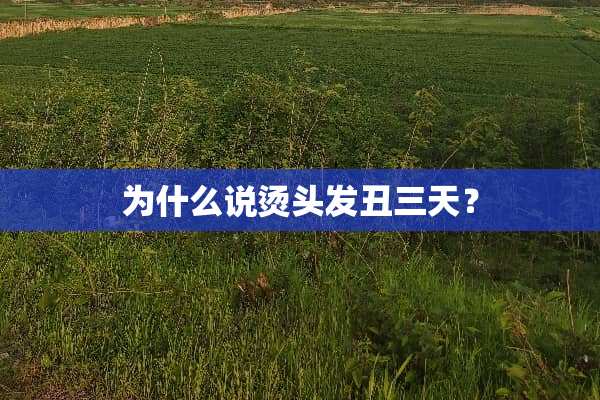 为什么说烫头发丑三天？