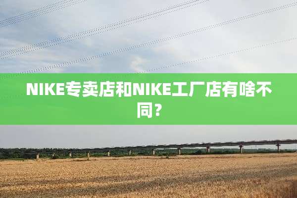 NIKE专卖店和NIKE工厂店有啥不同？