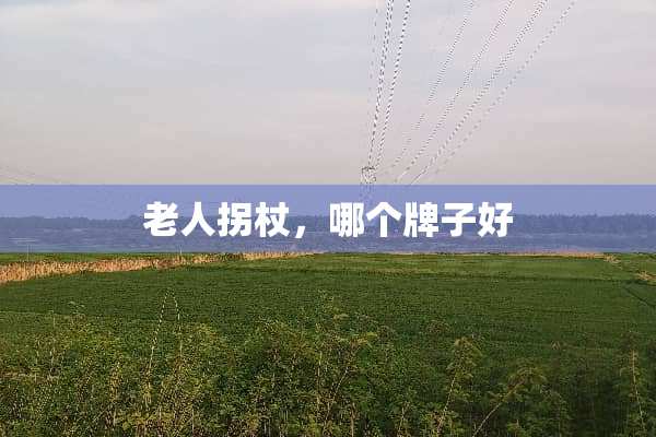 老人拐杖，哪个牌子好