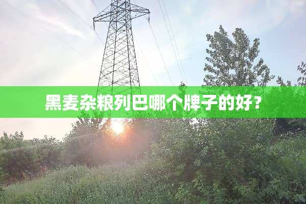黑麦杂粮列巴哪个牌子的好？