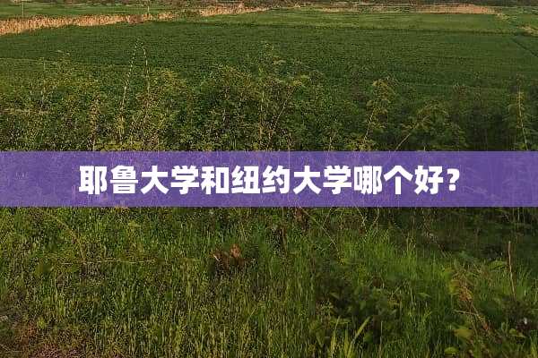 耶鲁大学和纽约大学哪个好？