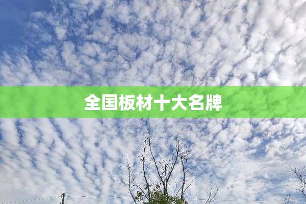 全国板材十大名牌