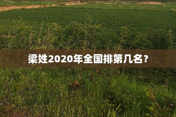 梁姓2020年全国排第几名？