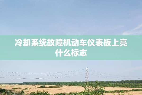 **系统故障机动车仪表板上亮什么标志