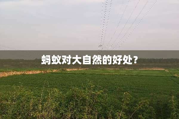 蚂蚁对大自然的好处？