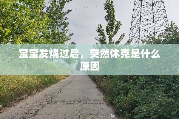 宝宝发烧过后，突然休克是什么原因