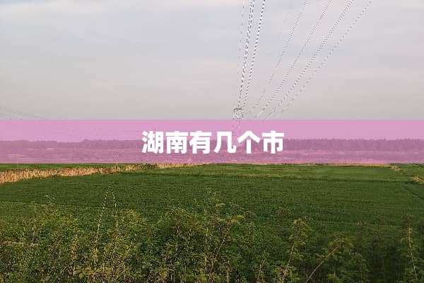 湖南有几个市