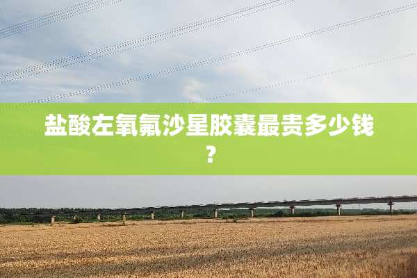 **左氧氟沙星胶囊最贵多少钱？
