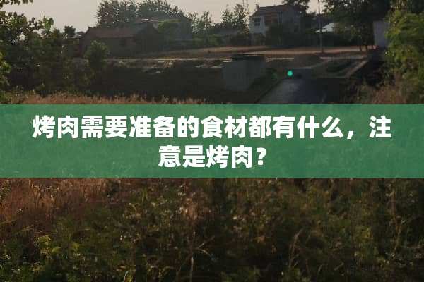 烤肉需要准备的食材都有什么，注意是烤肉？