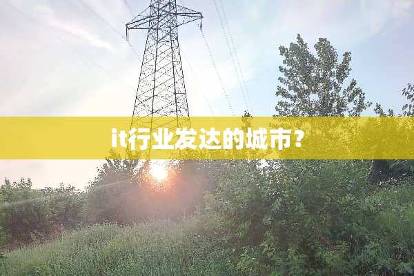 it行业发达的城市？