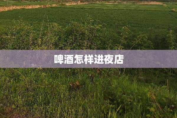 啤酒怎样进夜店