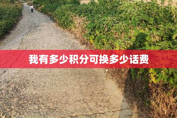 我有多少积分可换多少话费