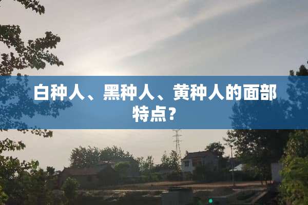 白种人、黑种人、黄种人的面部特点？