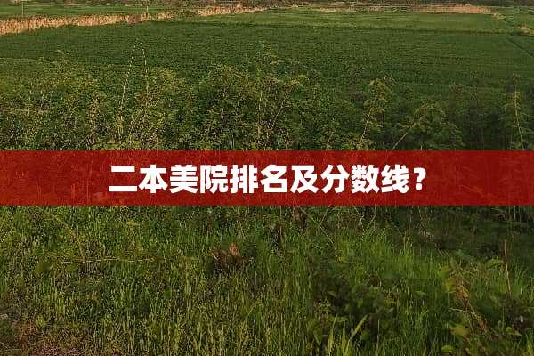 二本美院排名及分数线？