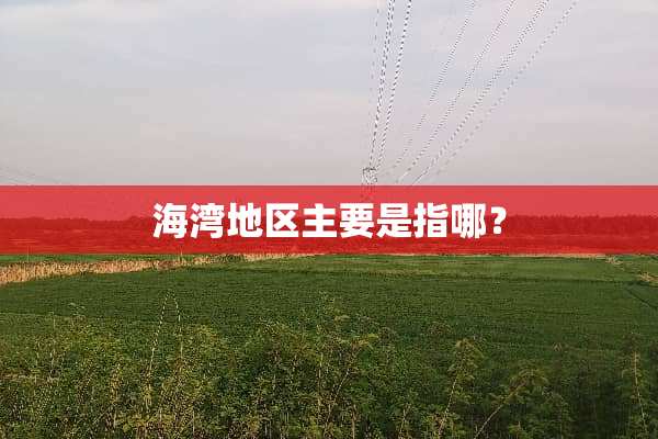 海湾地区主要是指哪？