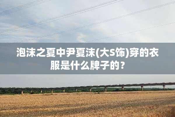 泡沫之夏中尹夏沫(大S饰)穿的衣服是什么牌子的？