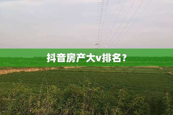 抖音房产大v排名？
