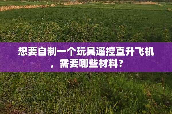 想要自制一个玩具遥控直升飞机，需要哪些材料？
