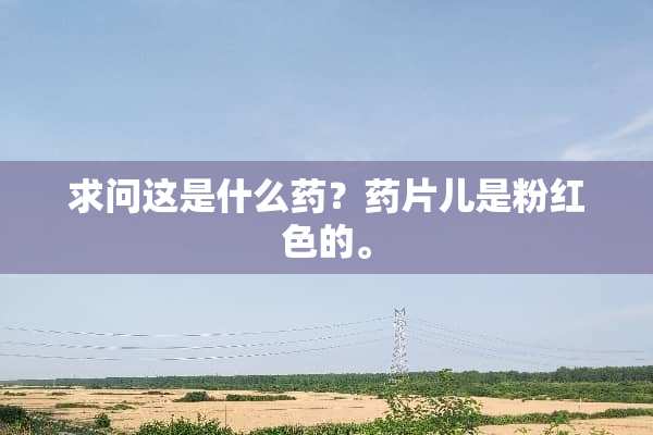 求问这是什么药？药片儿是粉红色的。