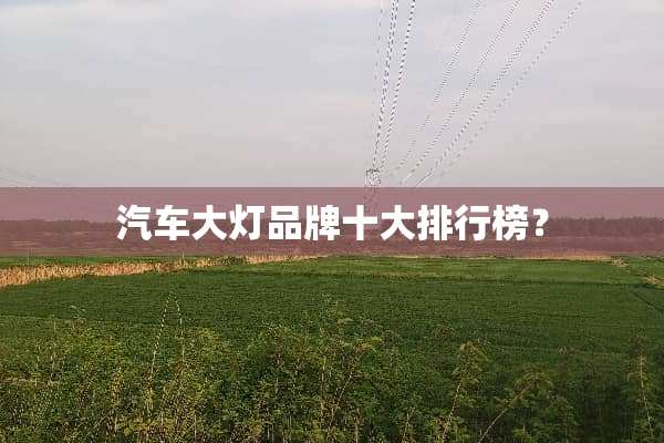 汽车大灯品牌十大排行榜？
