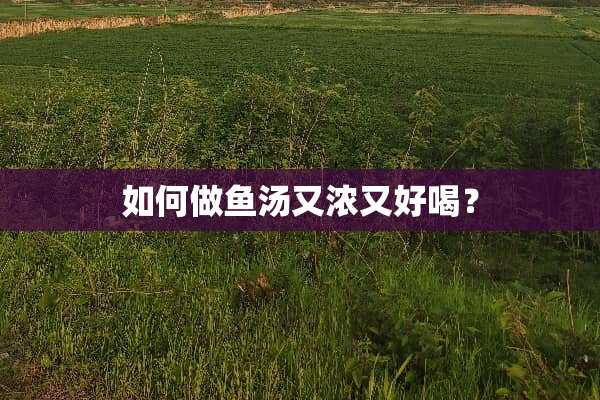 如何做鱼汤又浓又好喝？