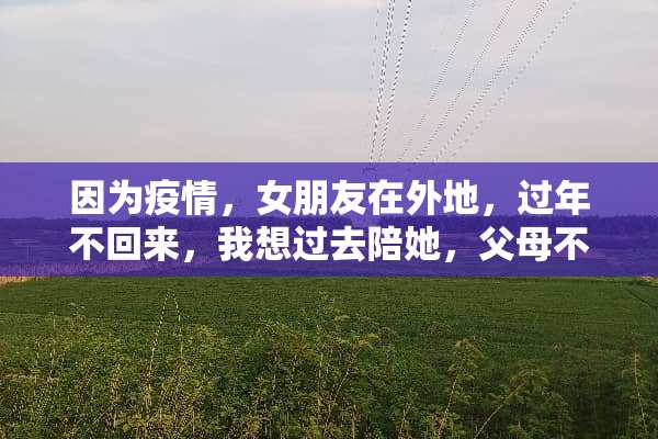 因为疫情，女朋友在外地，过年不回来，我想过去陪她，父母不让去怎么办？