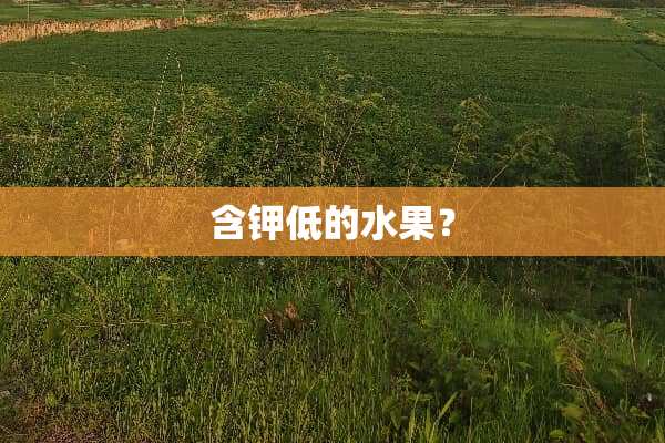 含钾低的水果？