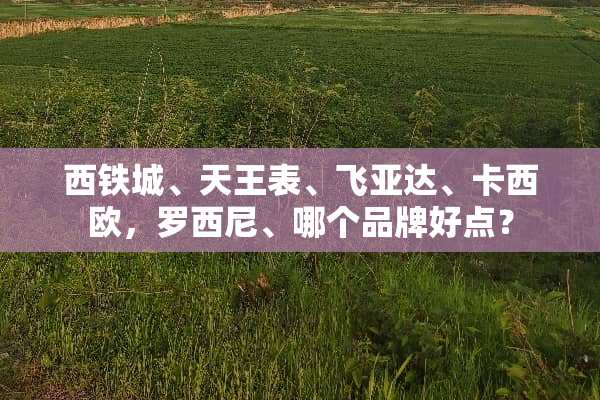 西铁城、天王表、飞亚达、卡西欧，罗西尼、哪个品牌好点？
