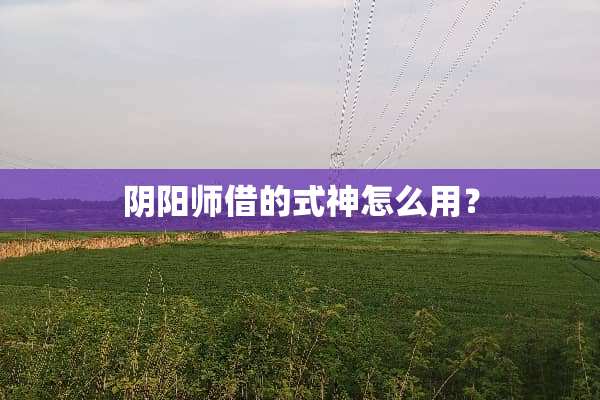 *阳师借的式神怎么用？
