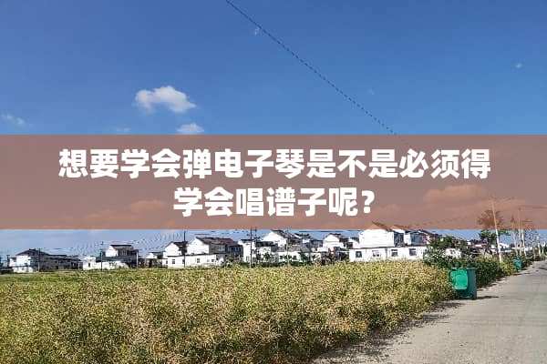 想要学会弹电子琴是不是必须得学会唱谱子呢？