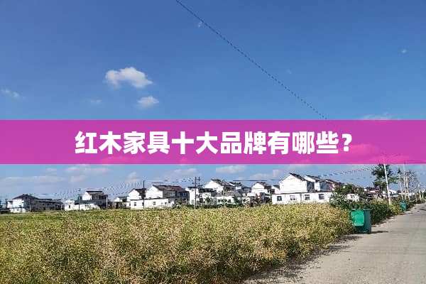 红木家具十大品牌有哪些？