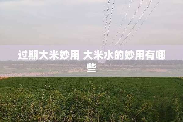 过期大米妙用 大米水的妙用有哪些