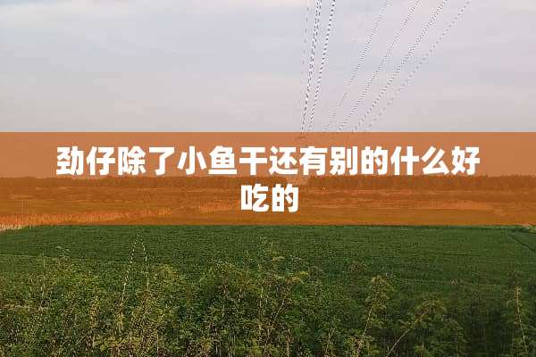 劲仔除了小鱼干还有别的什么好吃的