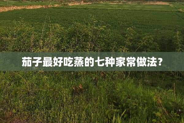 茄子最好吃蒸的七种家常做法？
