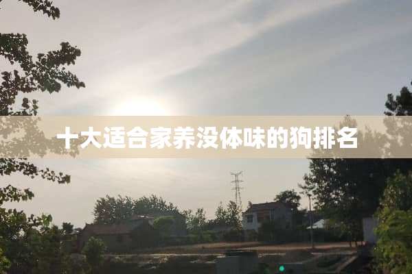 十大适合家养没体味的狗排名
