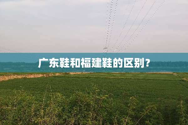广东鞋和福建鞋的区别？