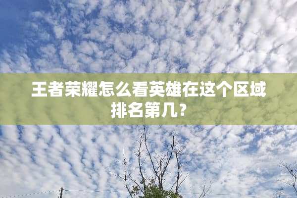 王者荣耀怎么看英雄在这个区域排名第几？